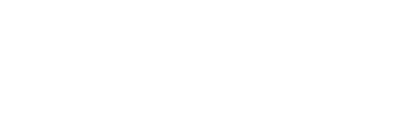 Ardis 3D
